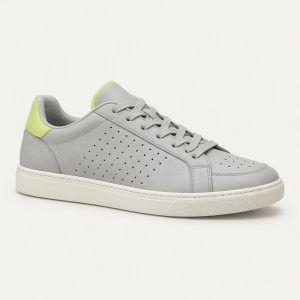Tennis Club „Fog Lime“